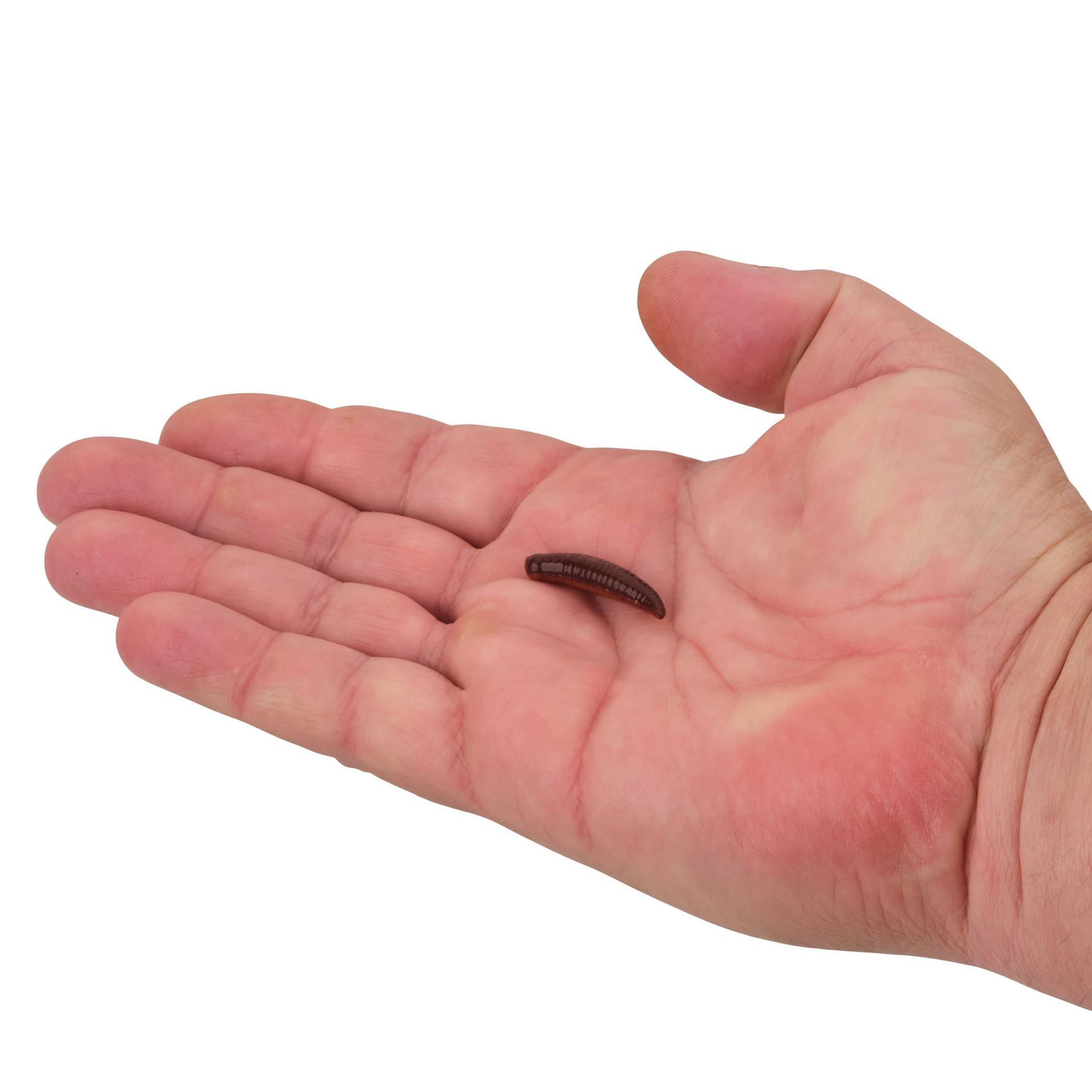 Gulp!® Pinched Crawler - Berkley