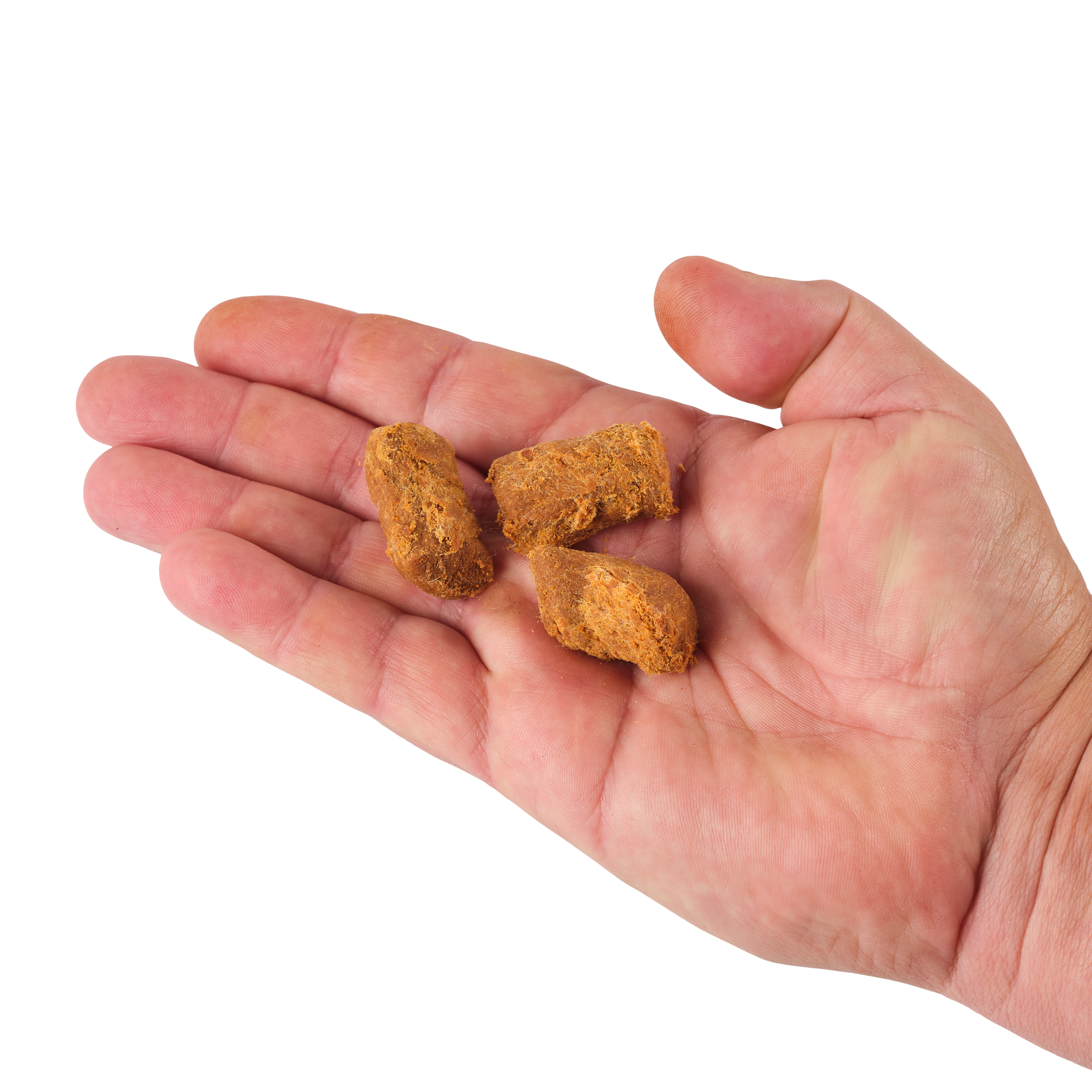 PowerBait® Catfish Bait Chunks - Berkley