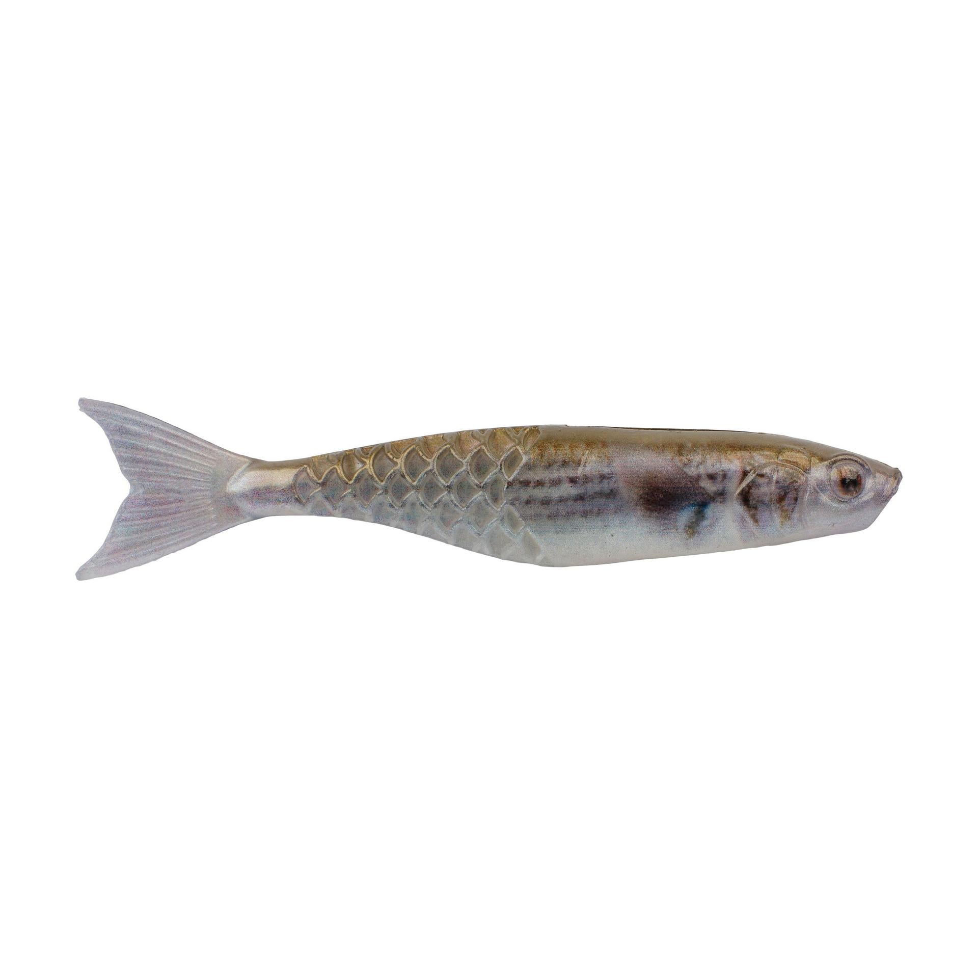 Saltwater Bait - Berkley