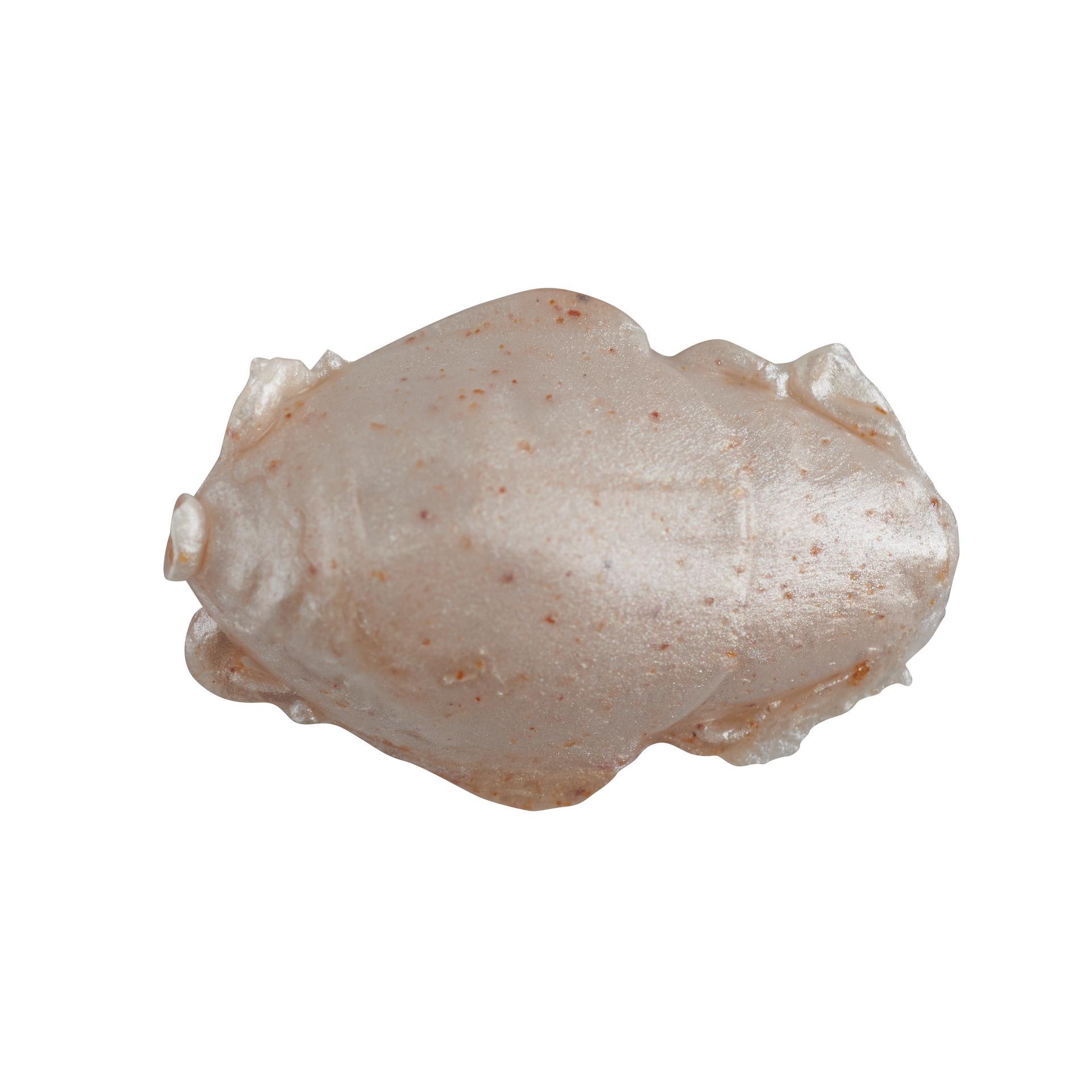 Gulp!® Saltwater Sand Crab Flea - Berkley